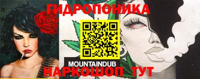 ECSTASY Кингисепп