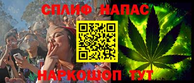 шишки Кинель