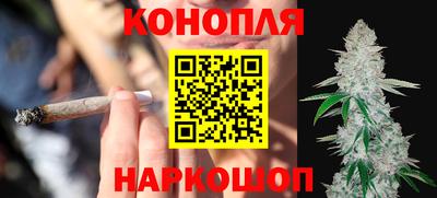 шишки Кинель