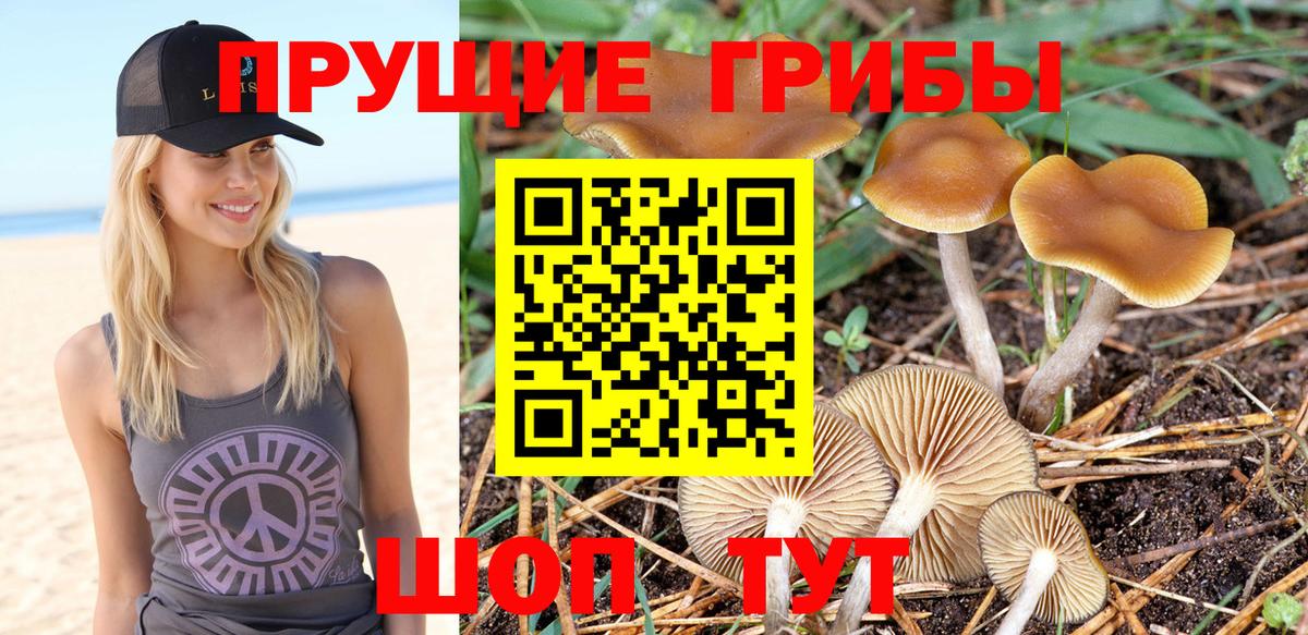Галлюциногенные грибы GOLDEN TEACHER  Галлюциногенные грибы Psilocybe  Кириши  Вход с VPN 