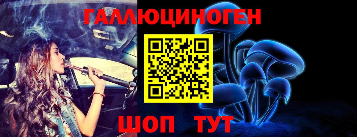 Псилоцибиновые грибы прущие грибы Кириши