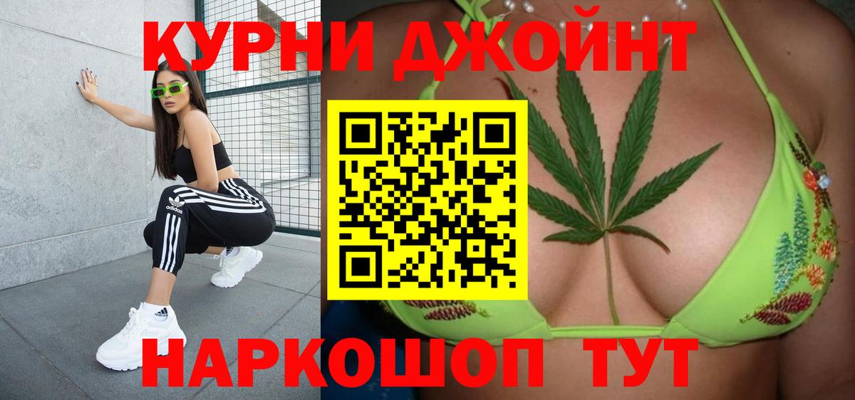 Бошки Шишки планчик Кириши